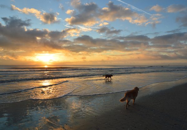 Fort Walton Beach Real Estate