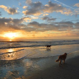 Fort Walton Beach Real Estate